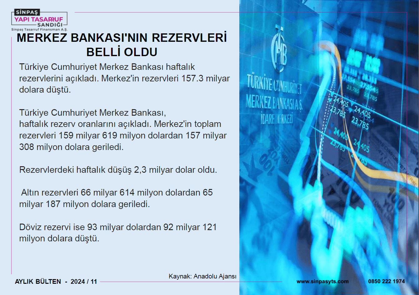Kasım Ayı Bülteni